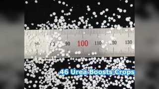 Mahsulleri Artırın: Çiftçiler İçin %46 Üre Gübresi